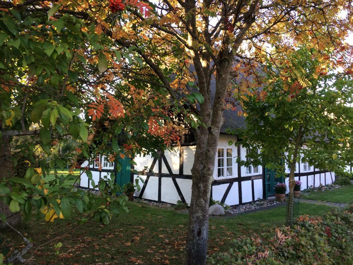 Troense Bed And Breakfast By The Sea Svendborg Luaran gambar